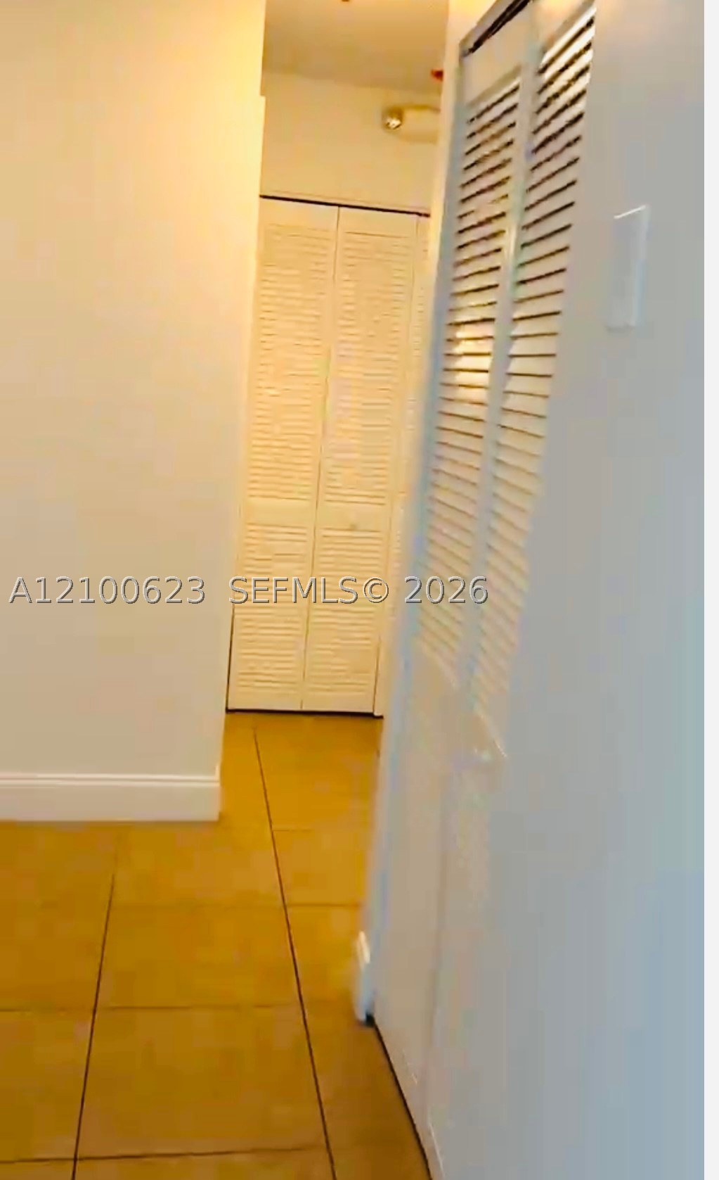 Miami photo 5