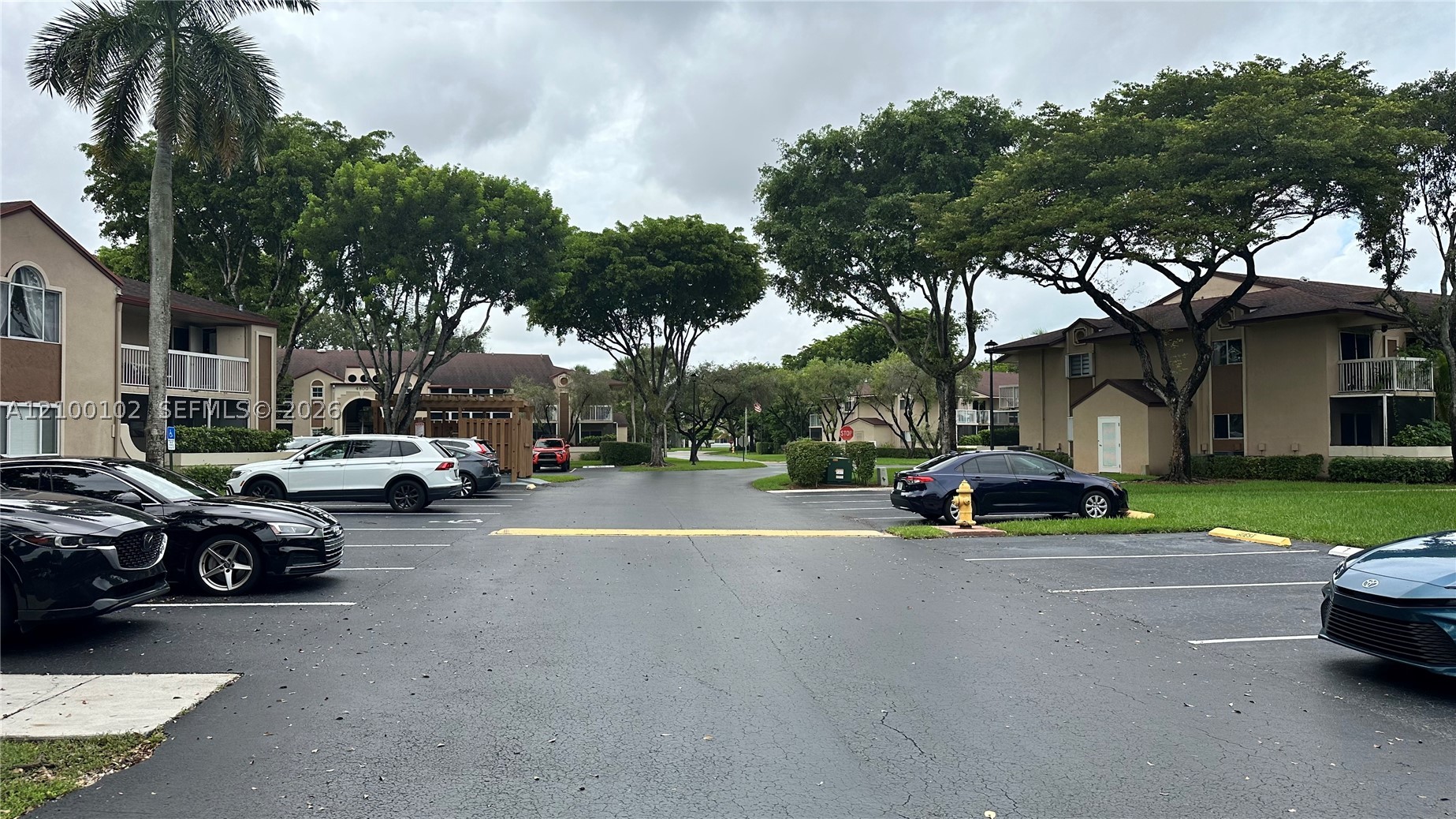 Doral photo 2