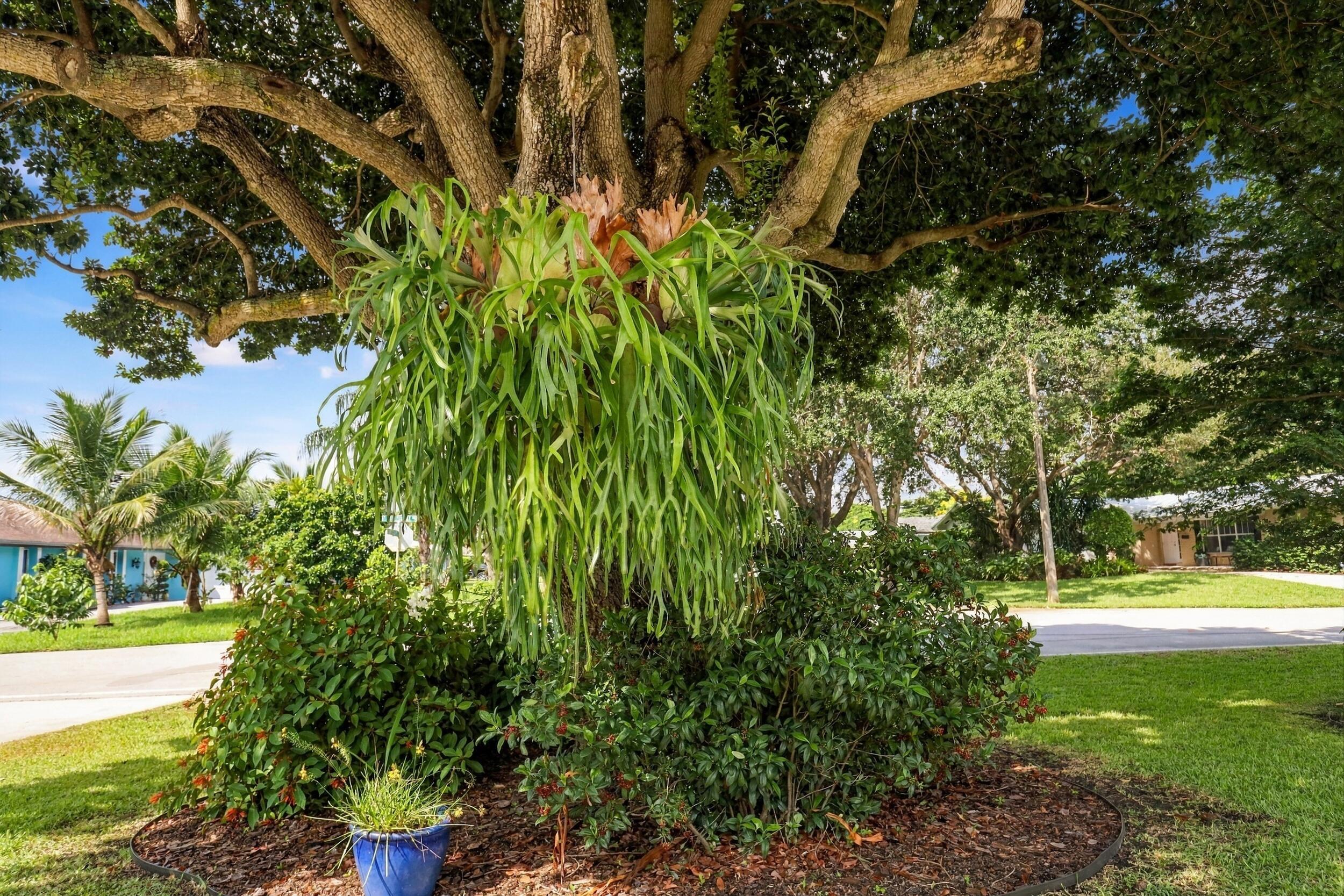 Palm Beach Gardens photo 5