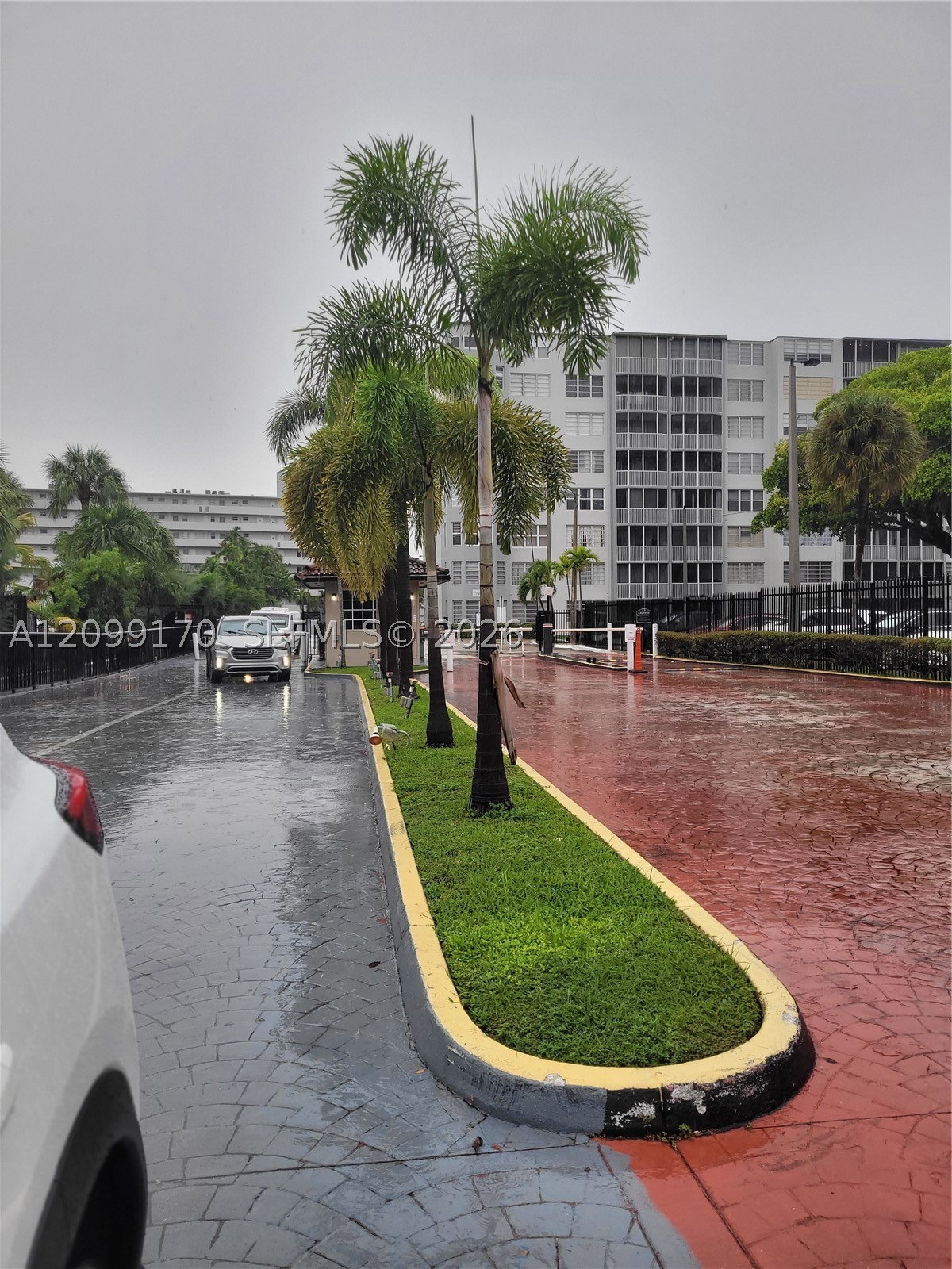 Miami photo 3