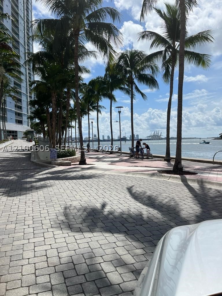 Miami photo 2