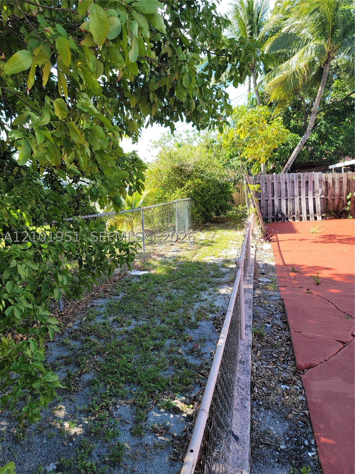Hialeah photo 5