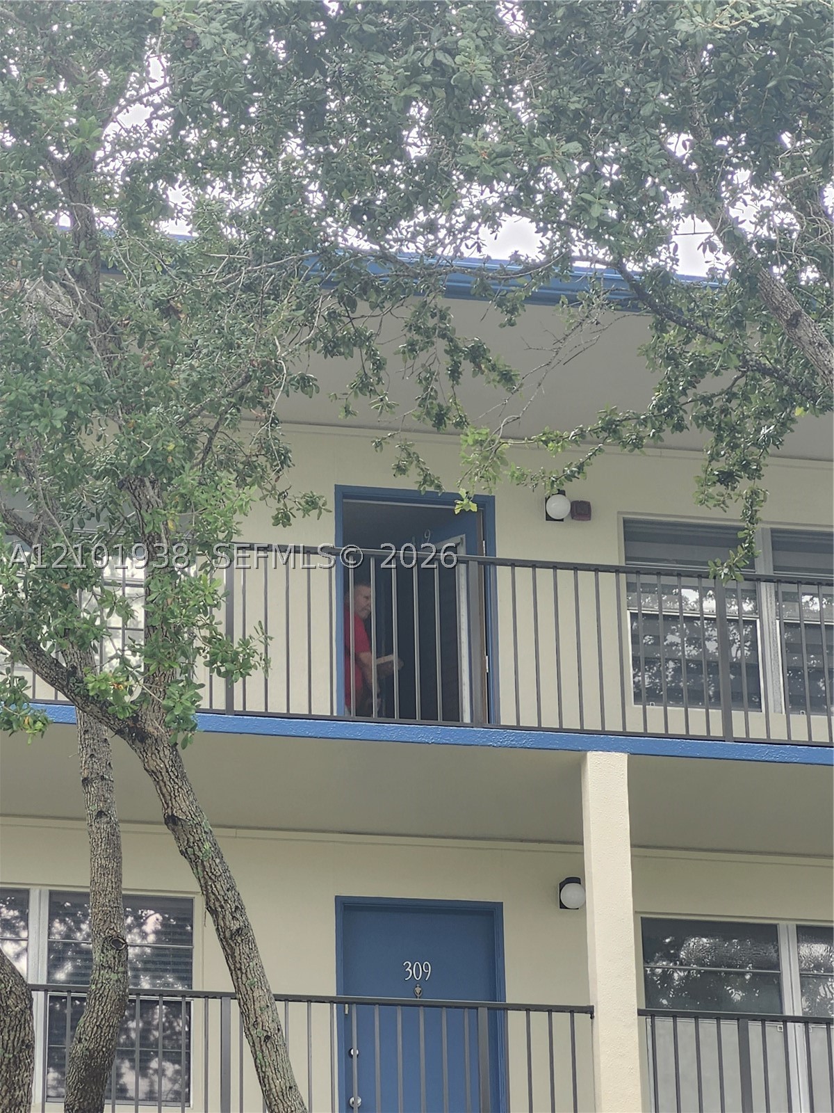 Pembroke Pines photo 4