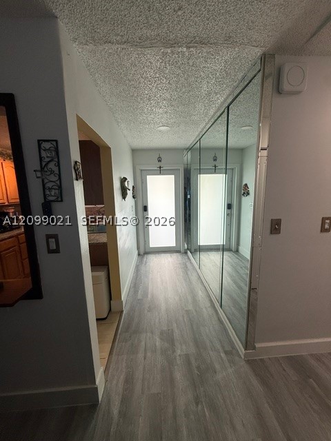 Miami photo 2