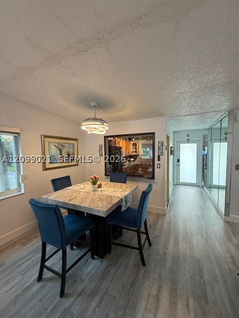Miami photo 4