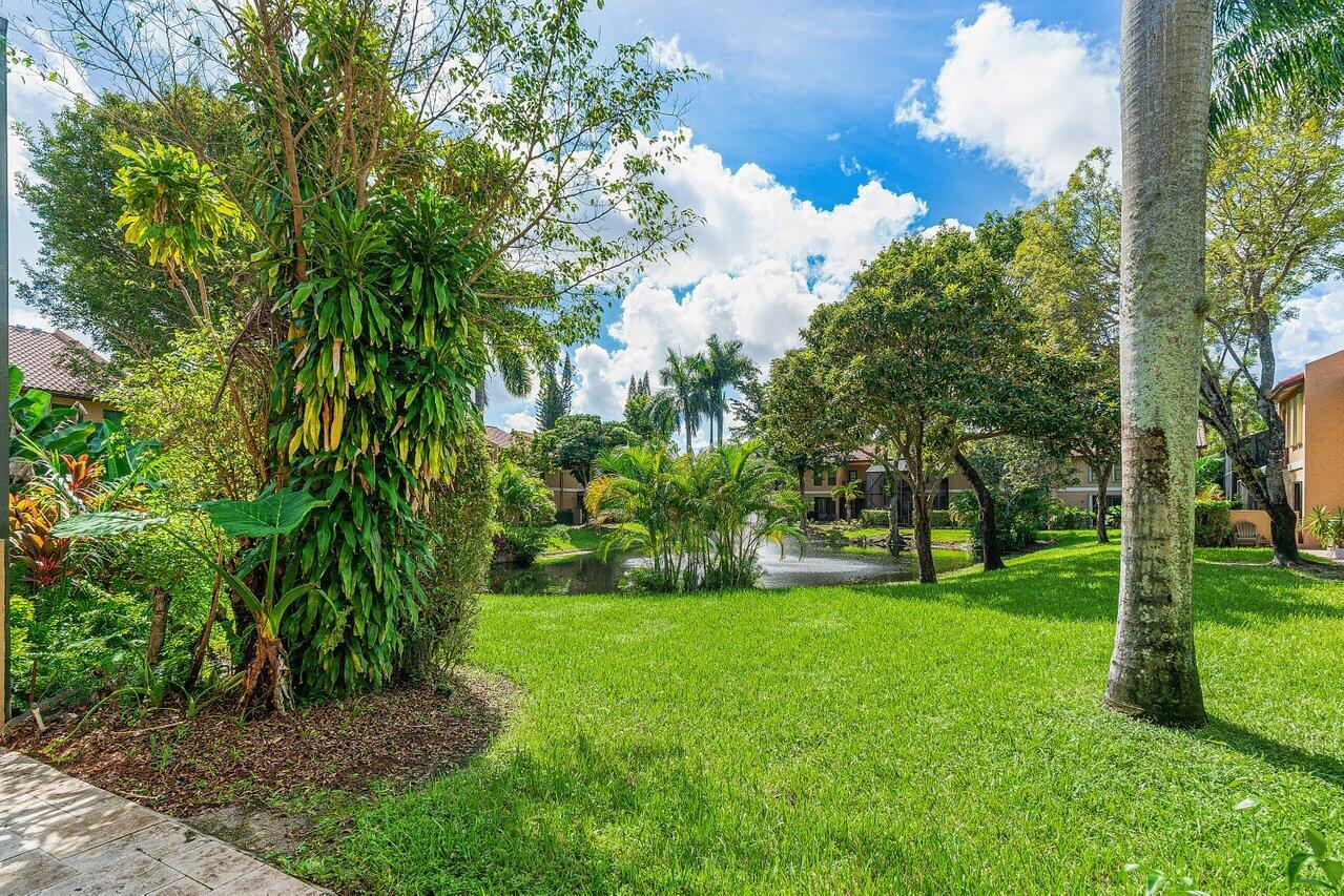 Boca Raton photo 3