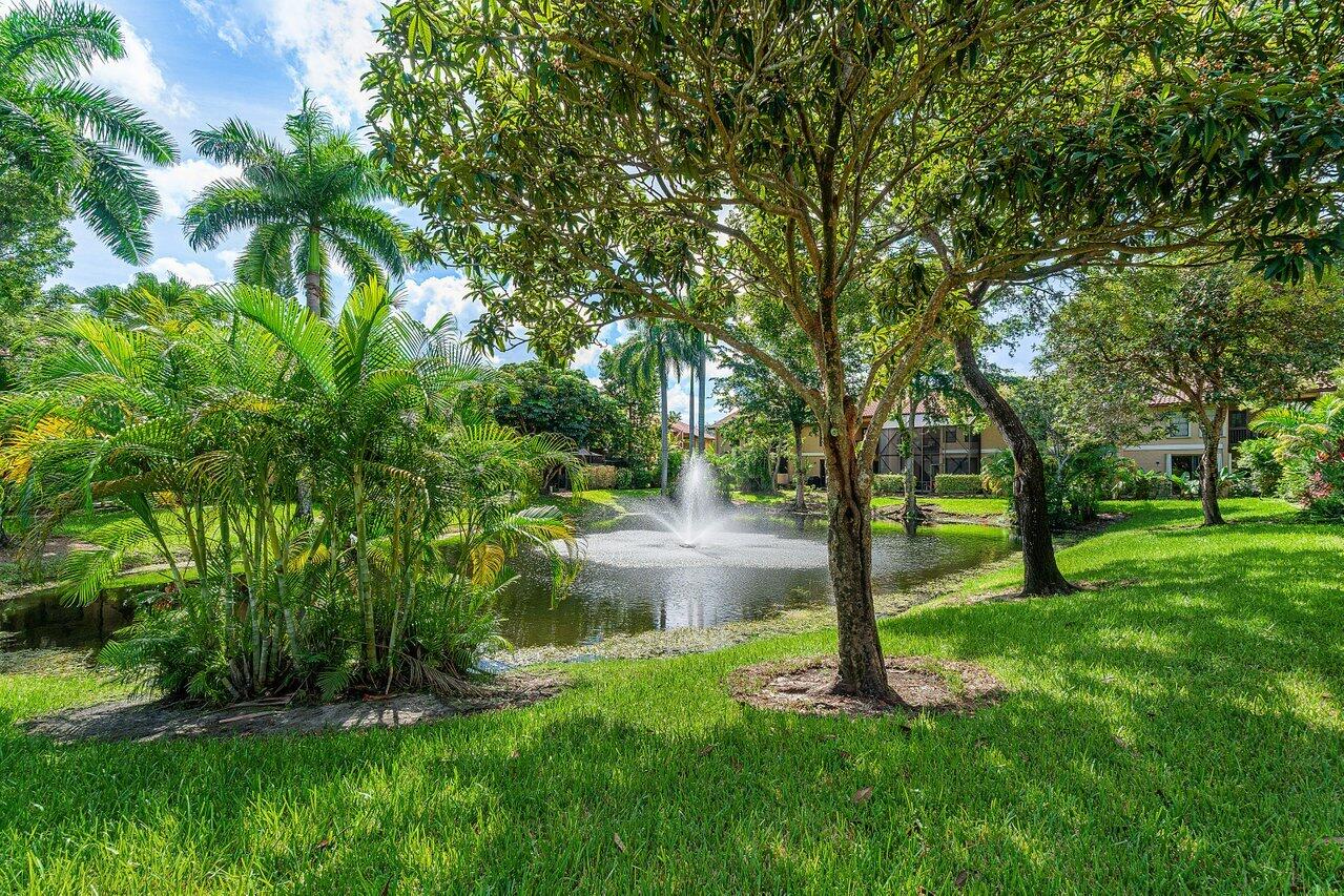 Boca Raton photo 4