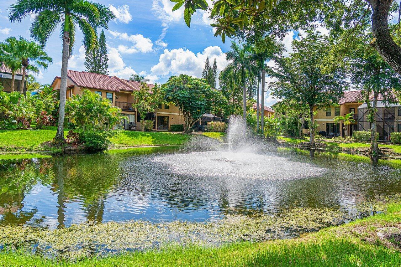 Boca Raton photo 5