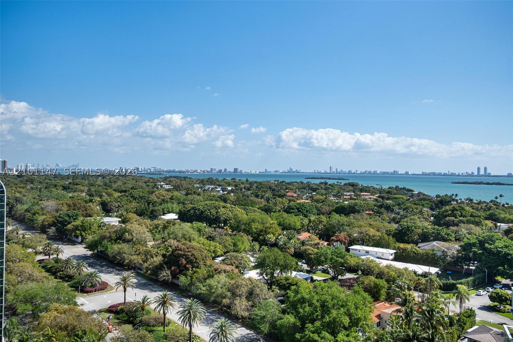 Miami photo 5