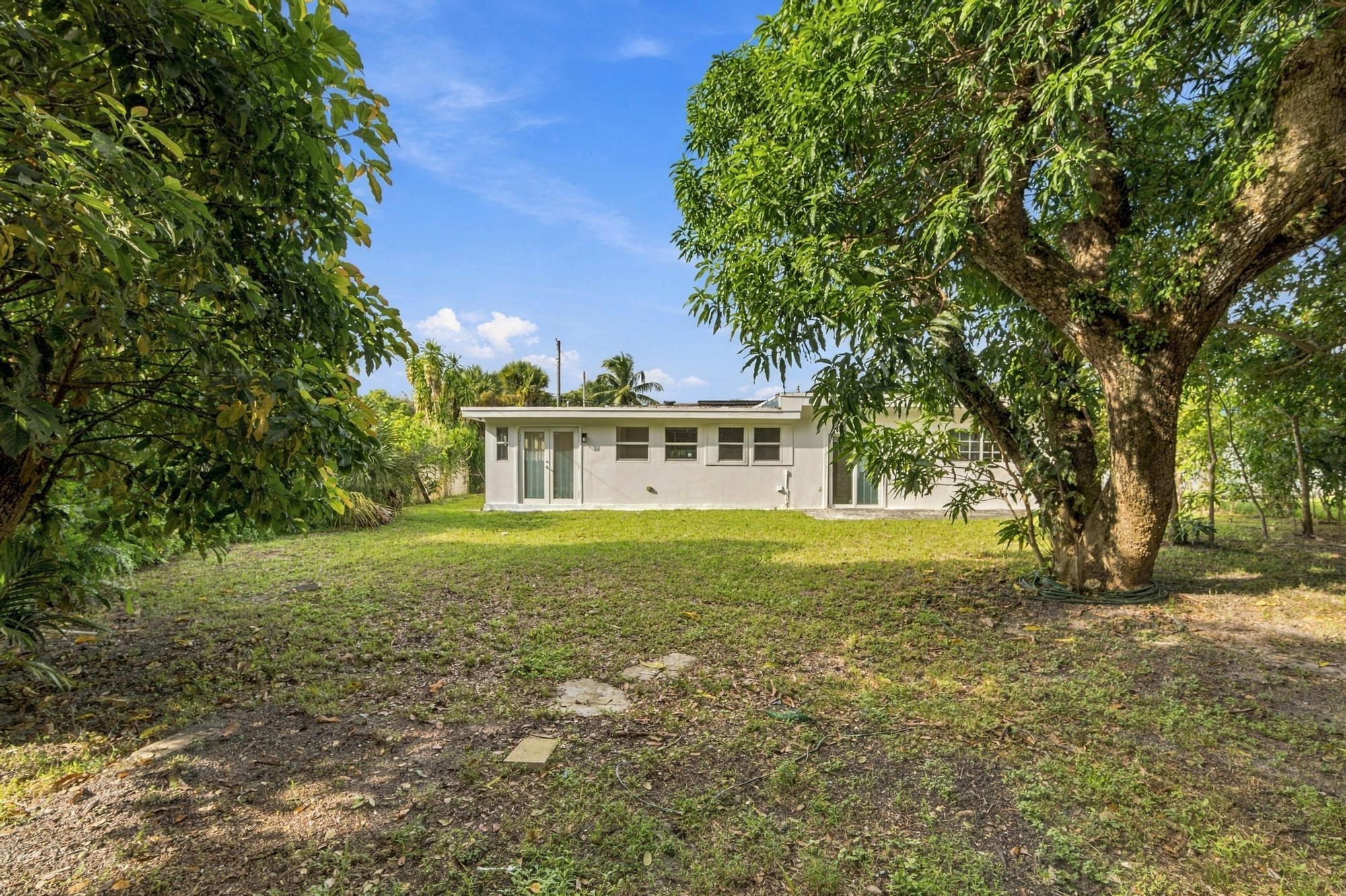 Miami photo 5