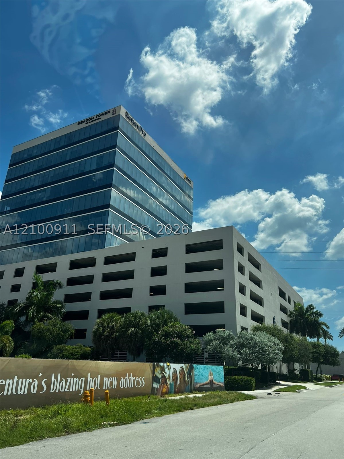 Miami photo 3