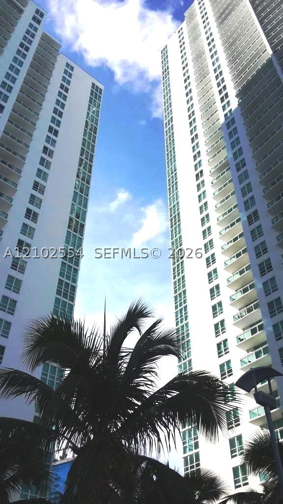 Miami photo 2