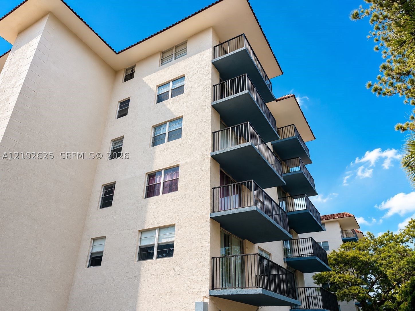North Miami photo 2