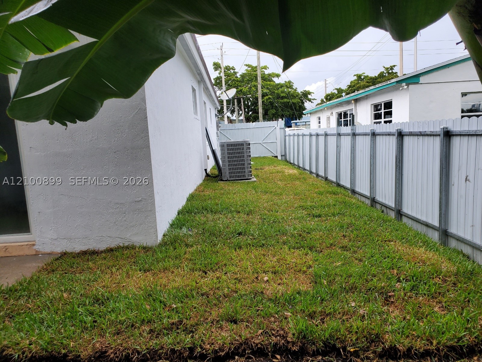 Miami photo 5