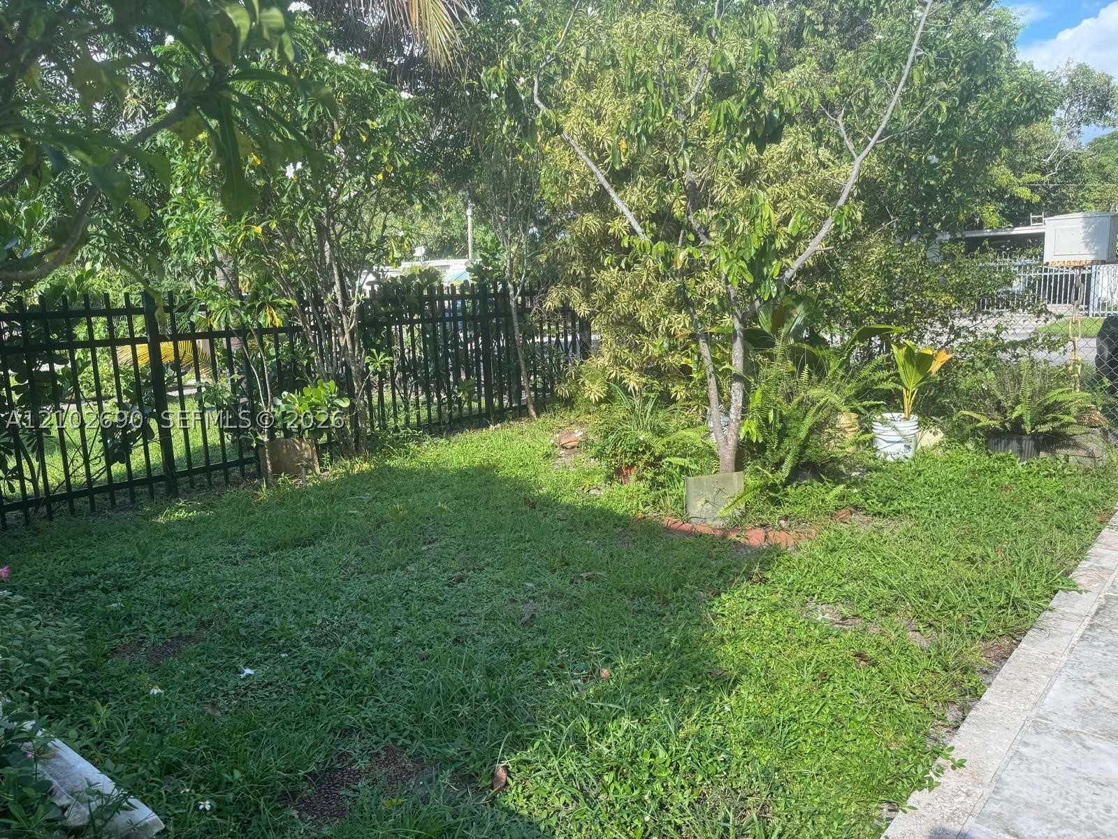 North Miami photo 3