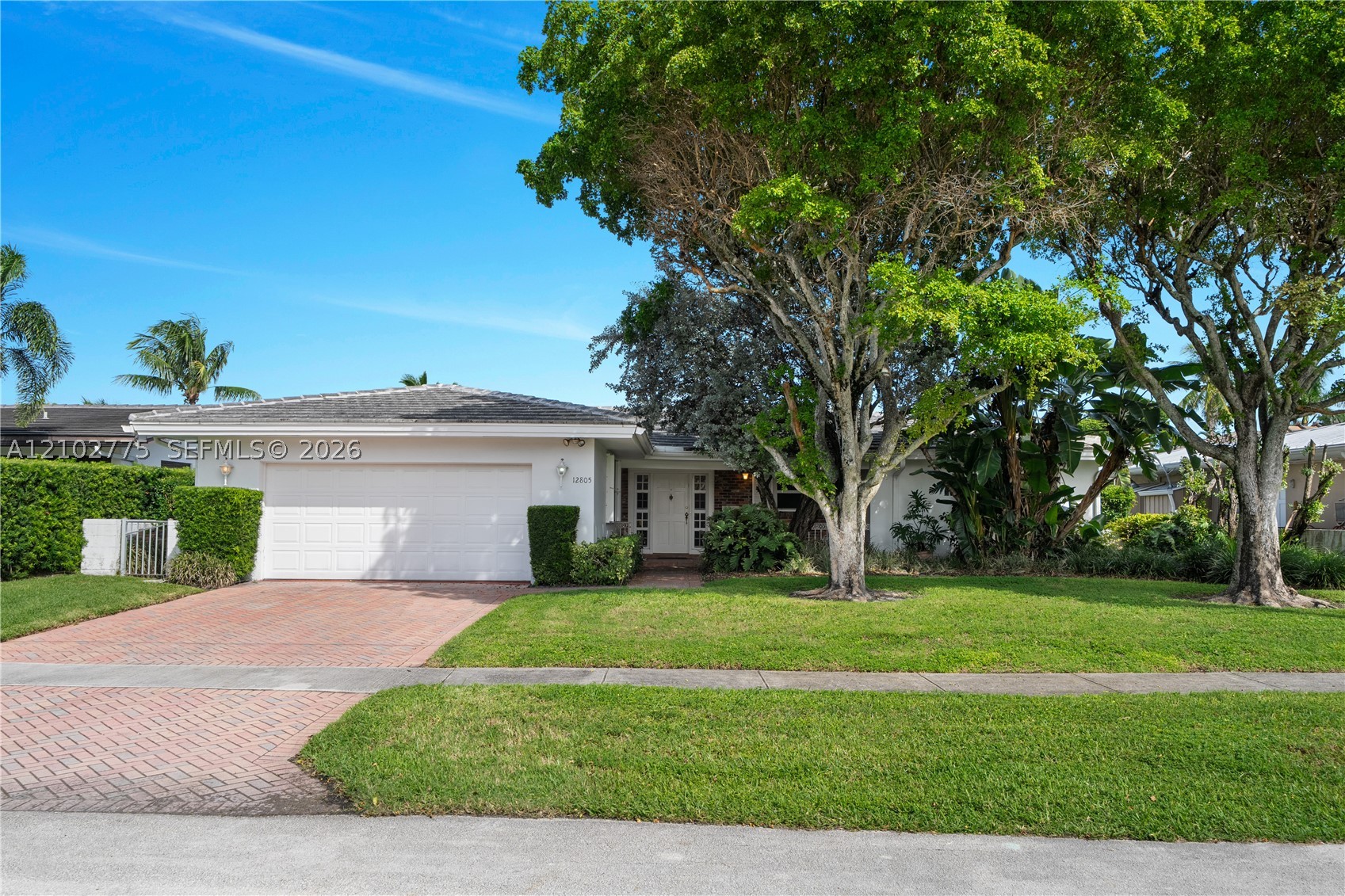 North Miami photo 4
