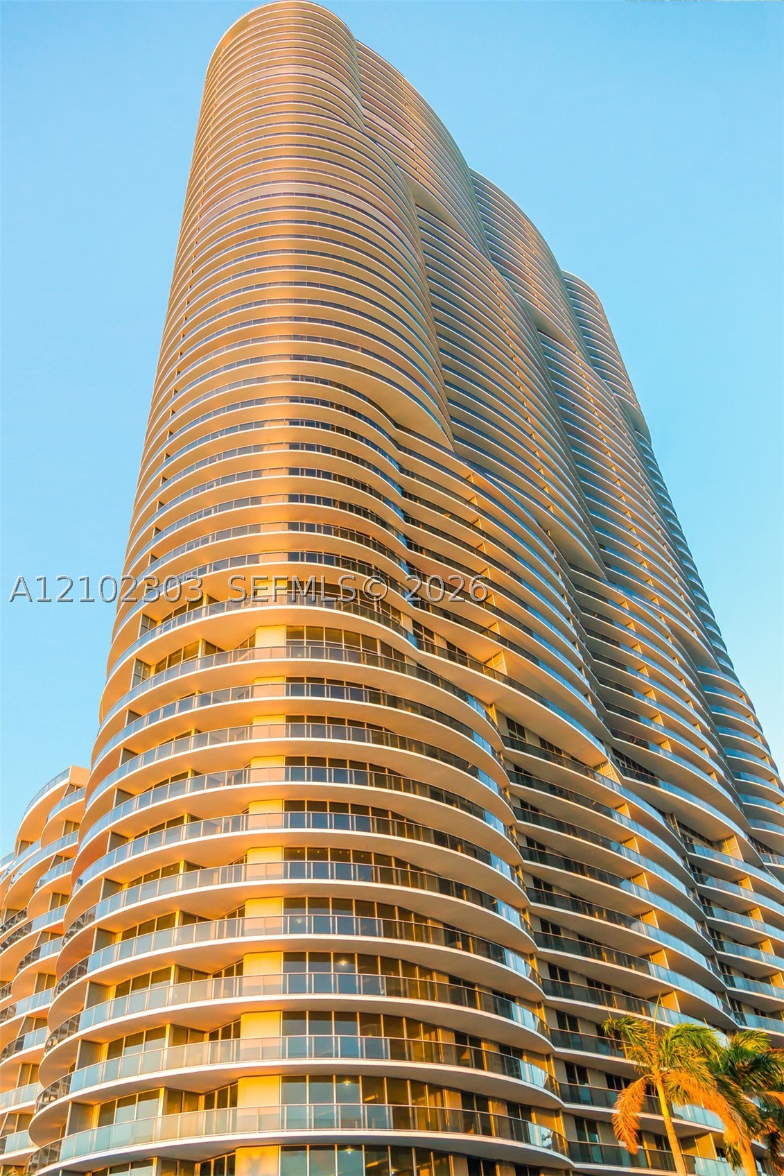Miami photo 2