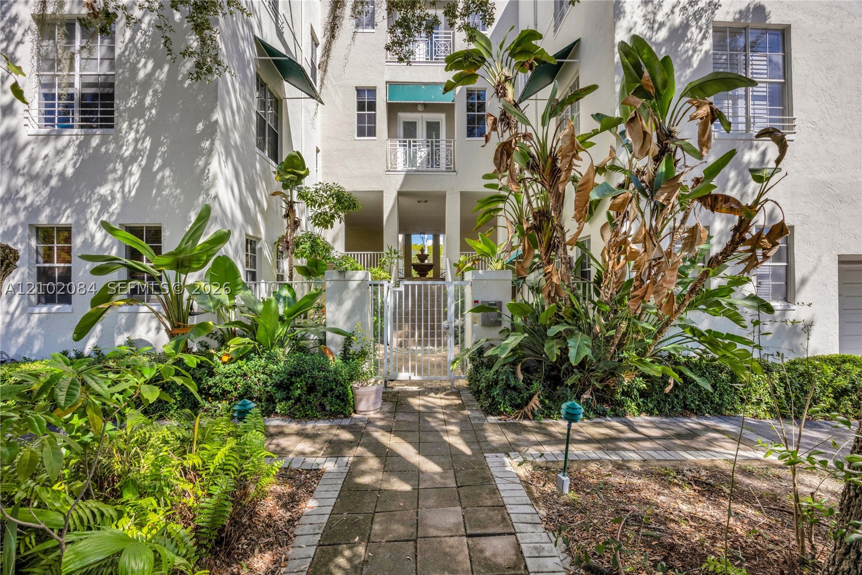South Miami photo 5