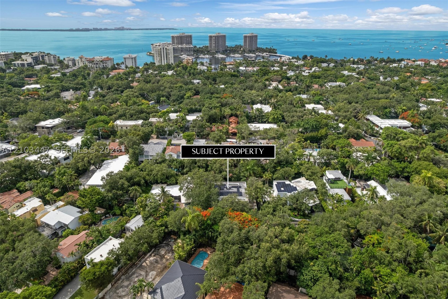Miami photo 5