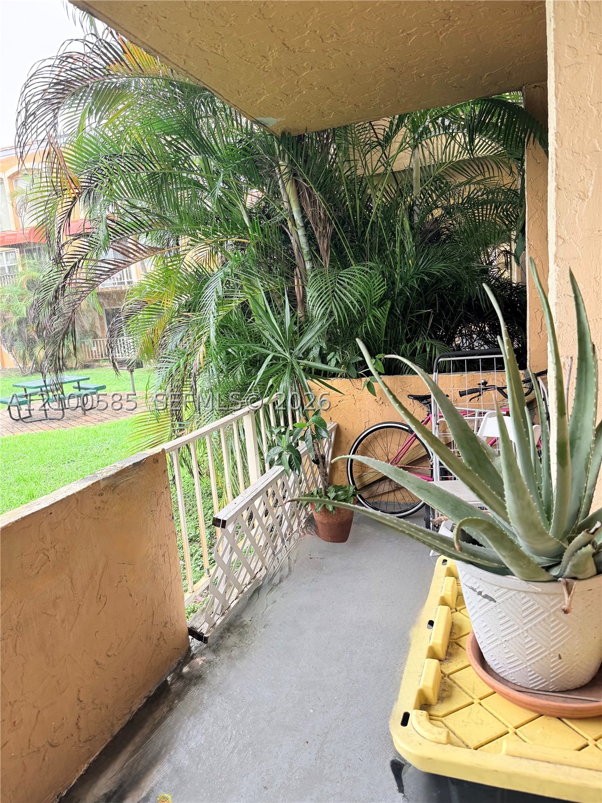 Hialeah photo 4