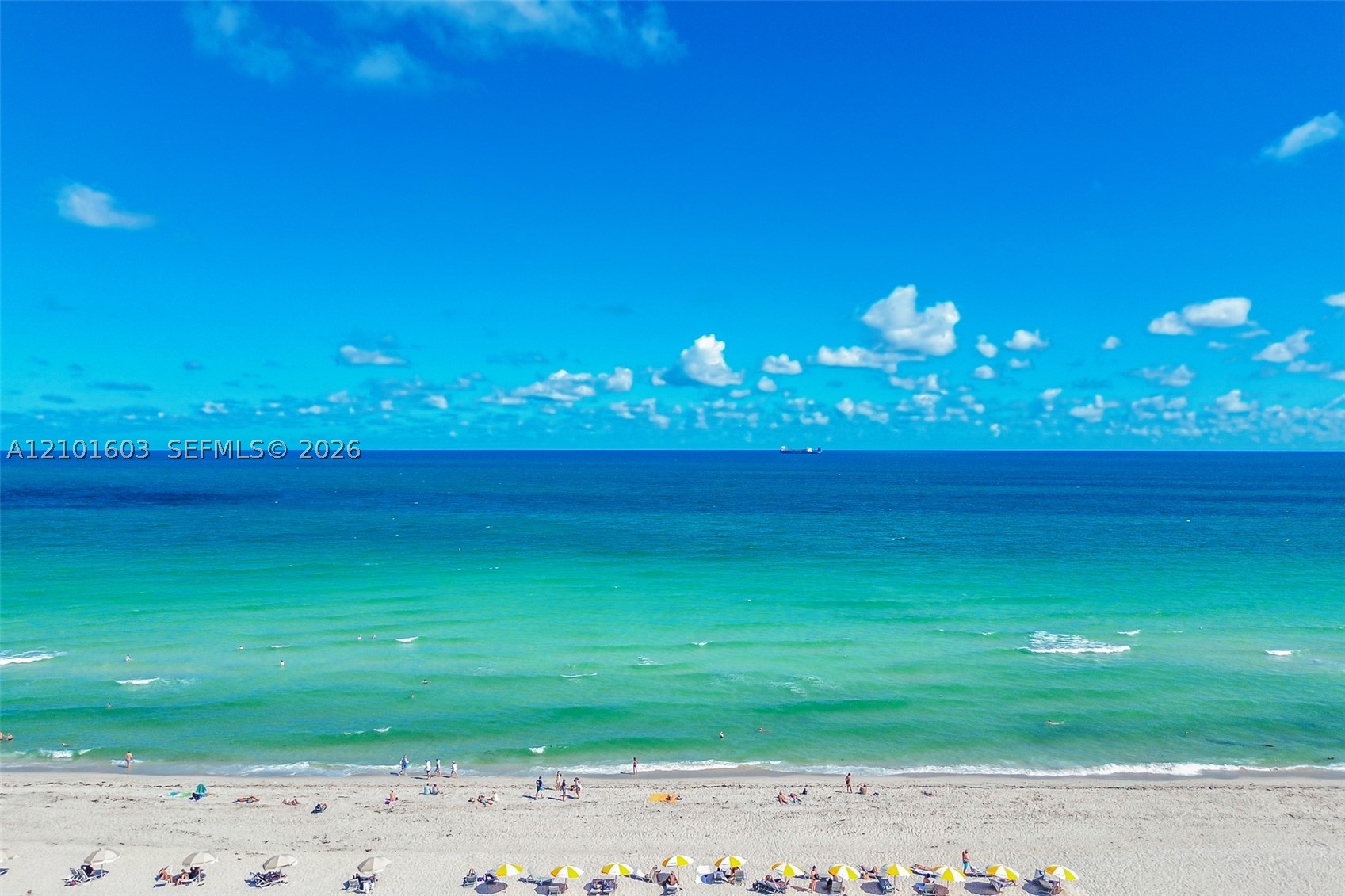 Miami Beach photo 5