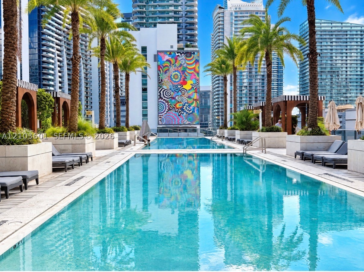 Miami photo 3