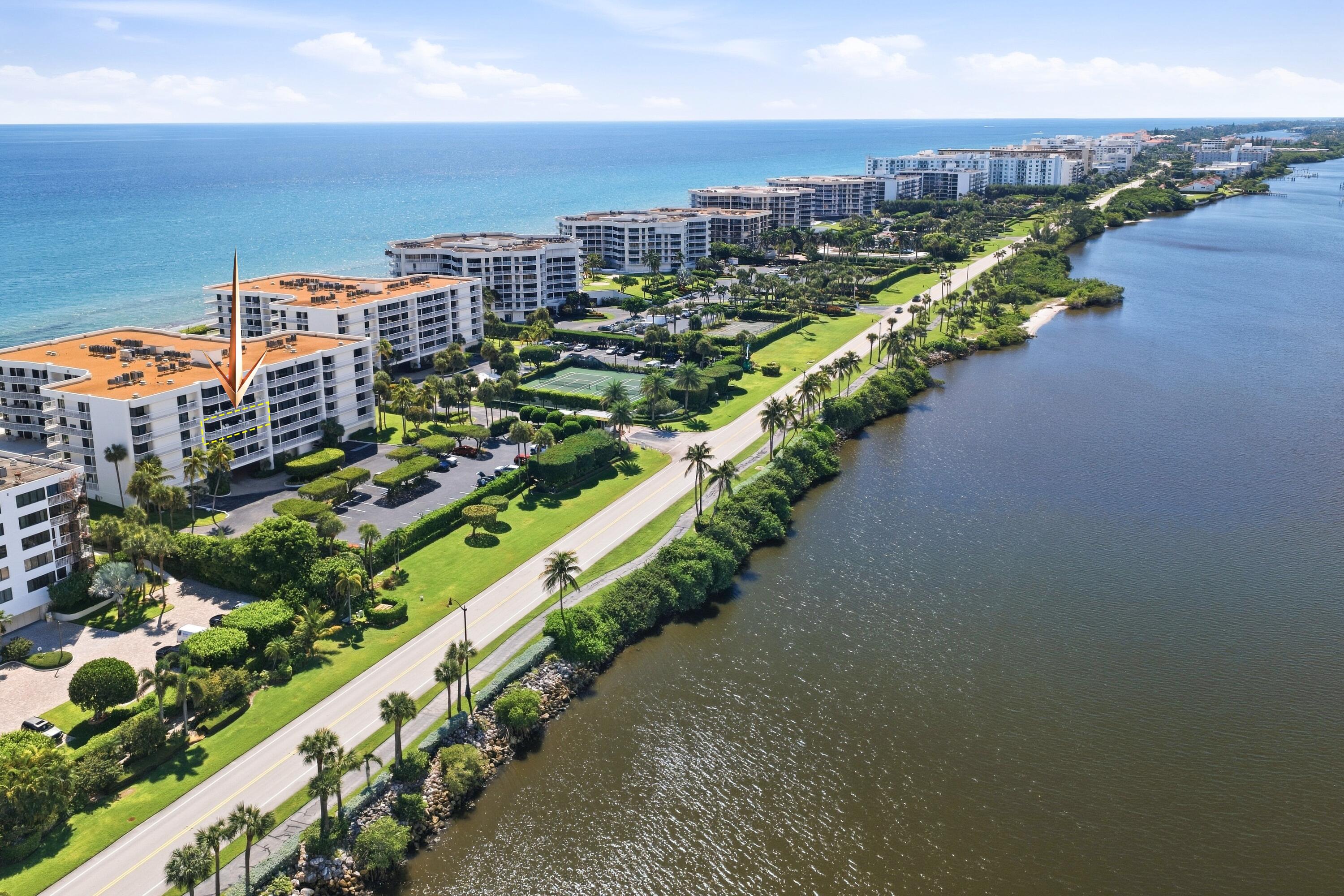 Palm Beach photo 4