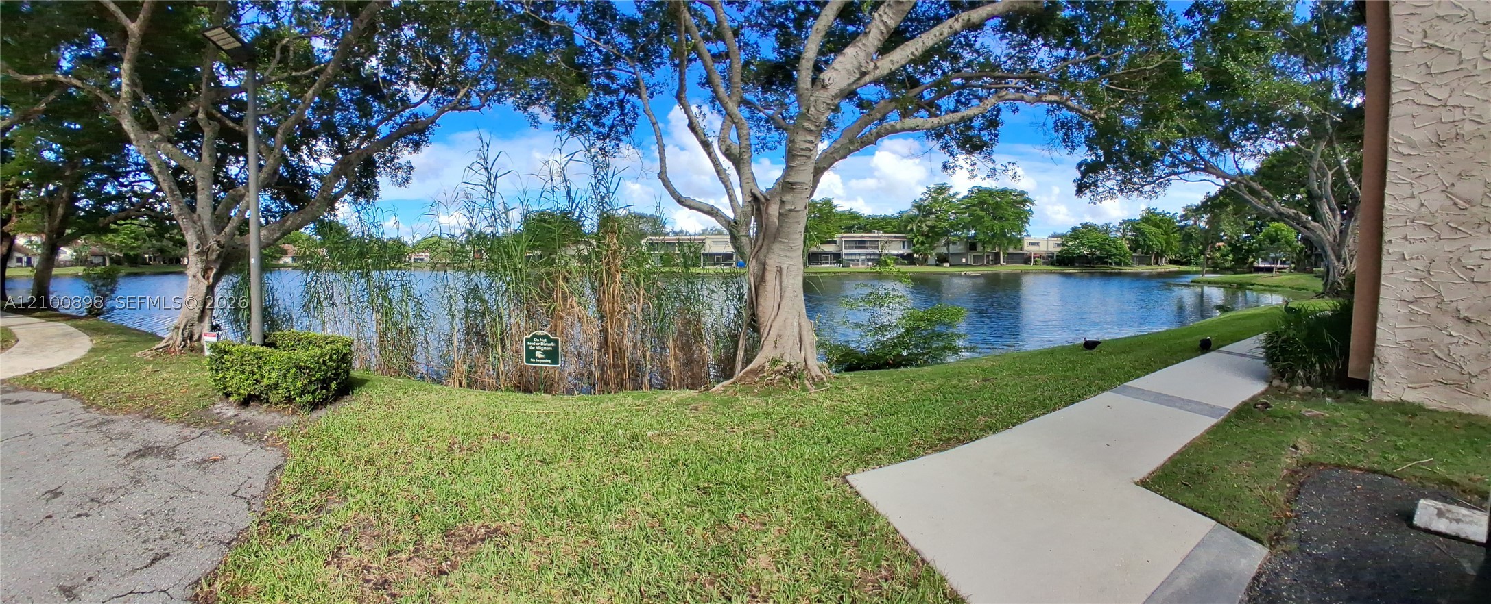 Plantation photo 2