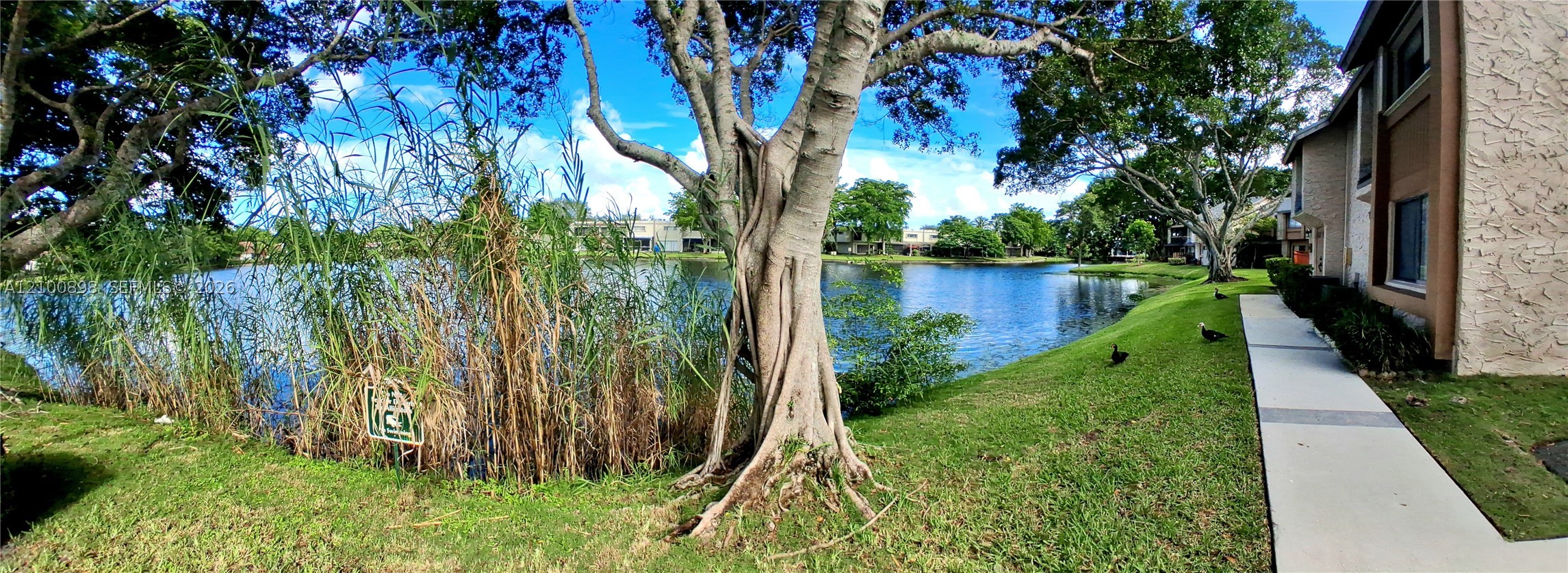 Plantation photo 3