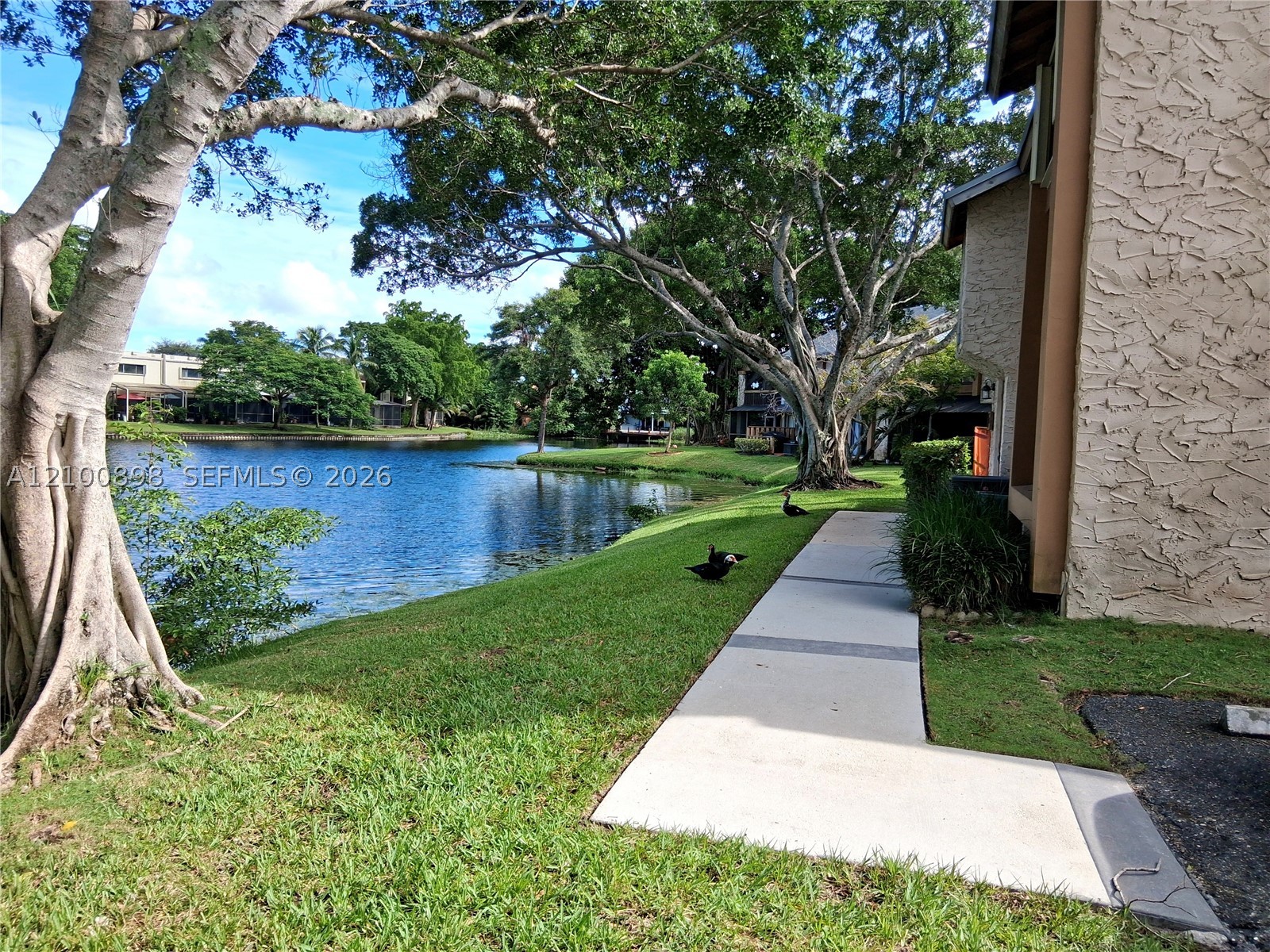 Plantation photo 4