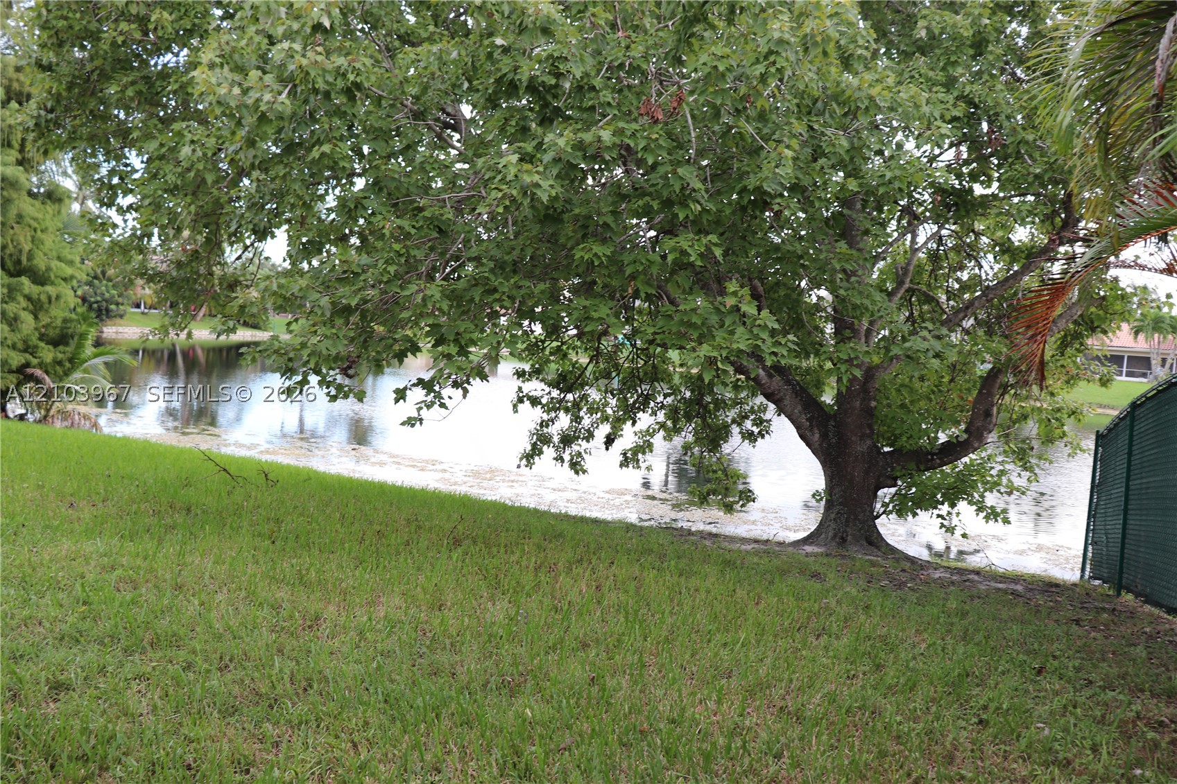 Pembroke Pines photo 3