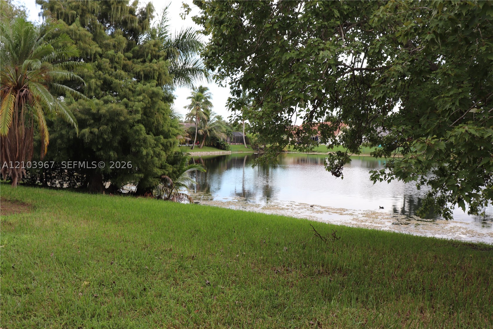 Pembroke Pines photo 4