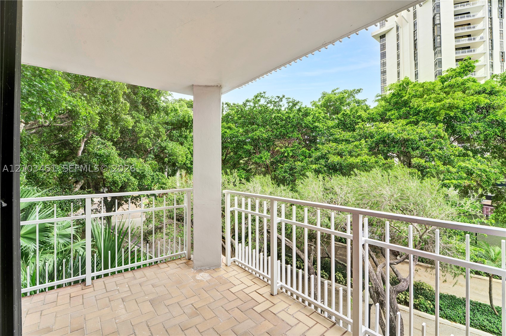 Miami photo 3