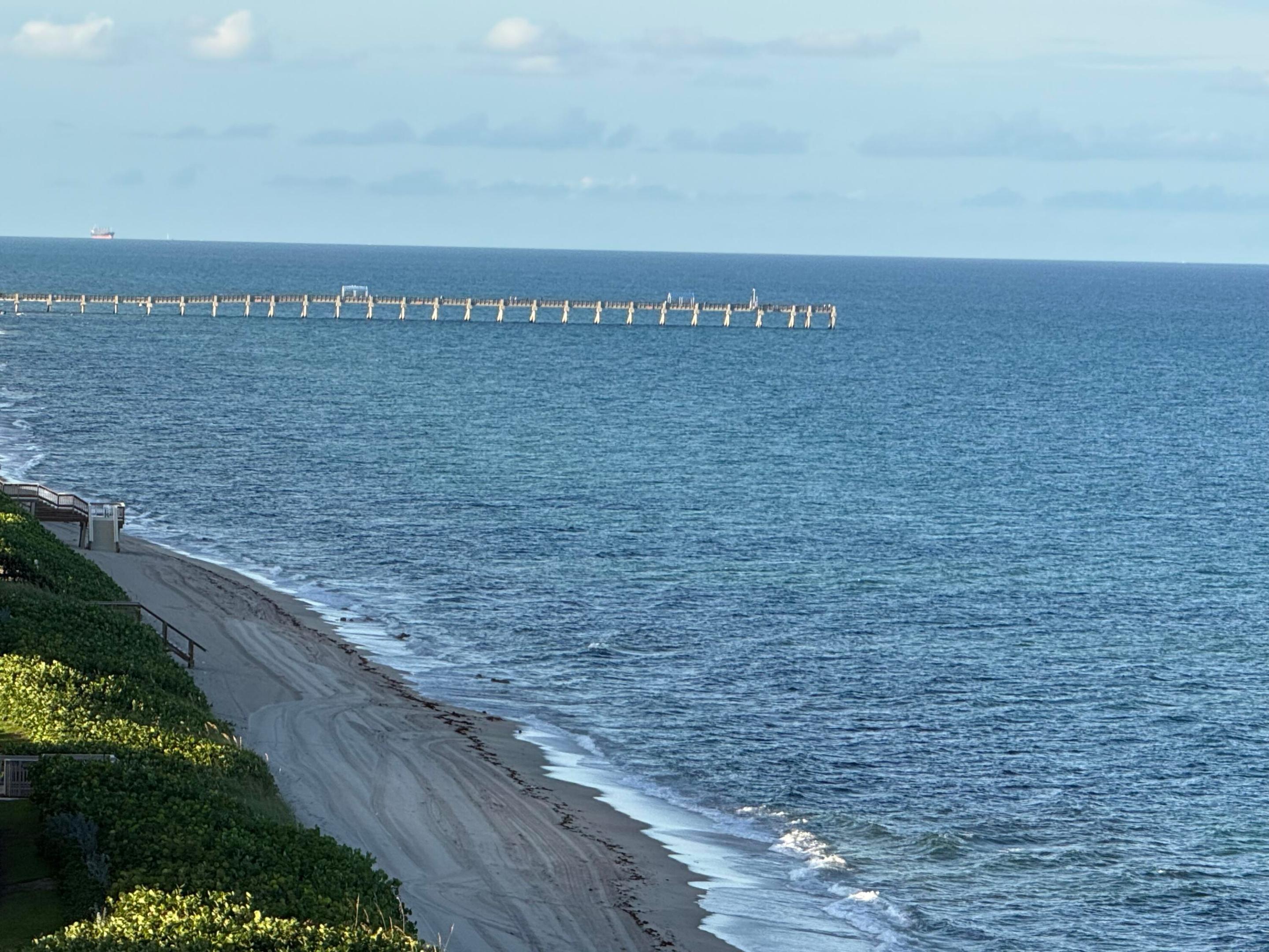 Palm Beach photo 5
