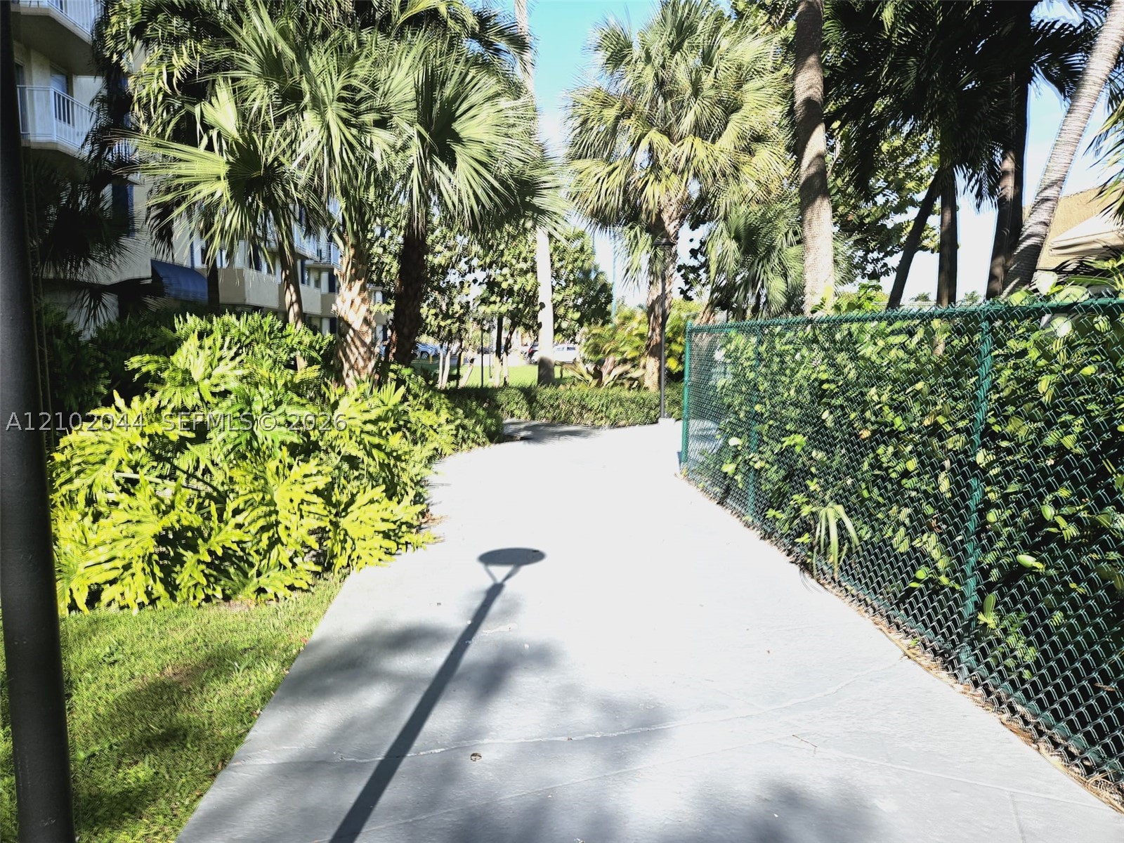 Miami photo 2