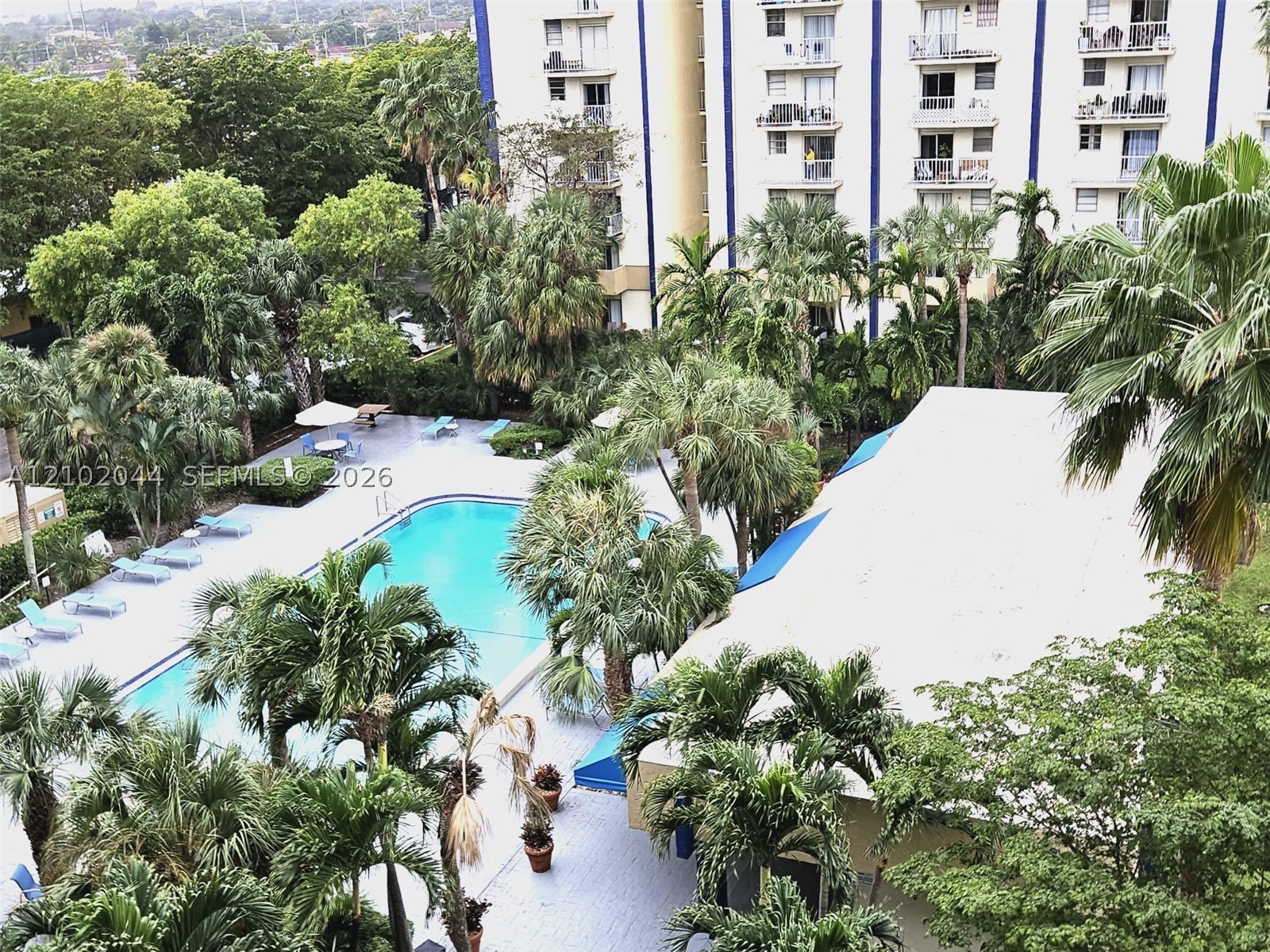 Miami photo 3