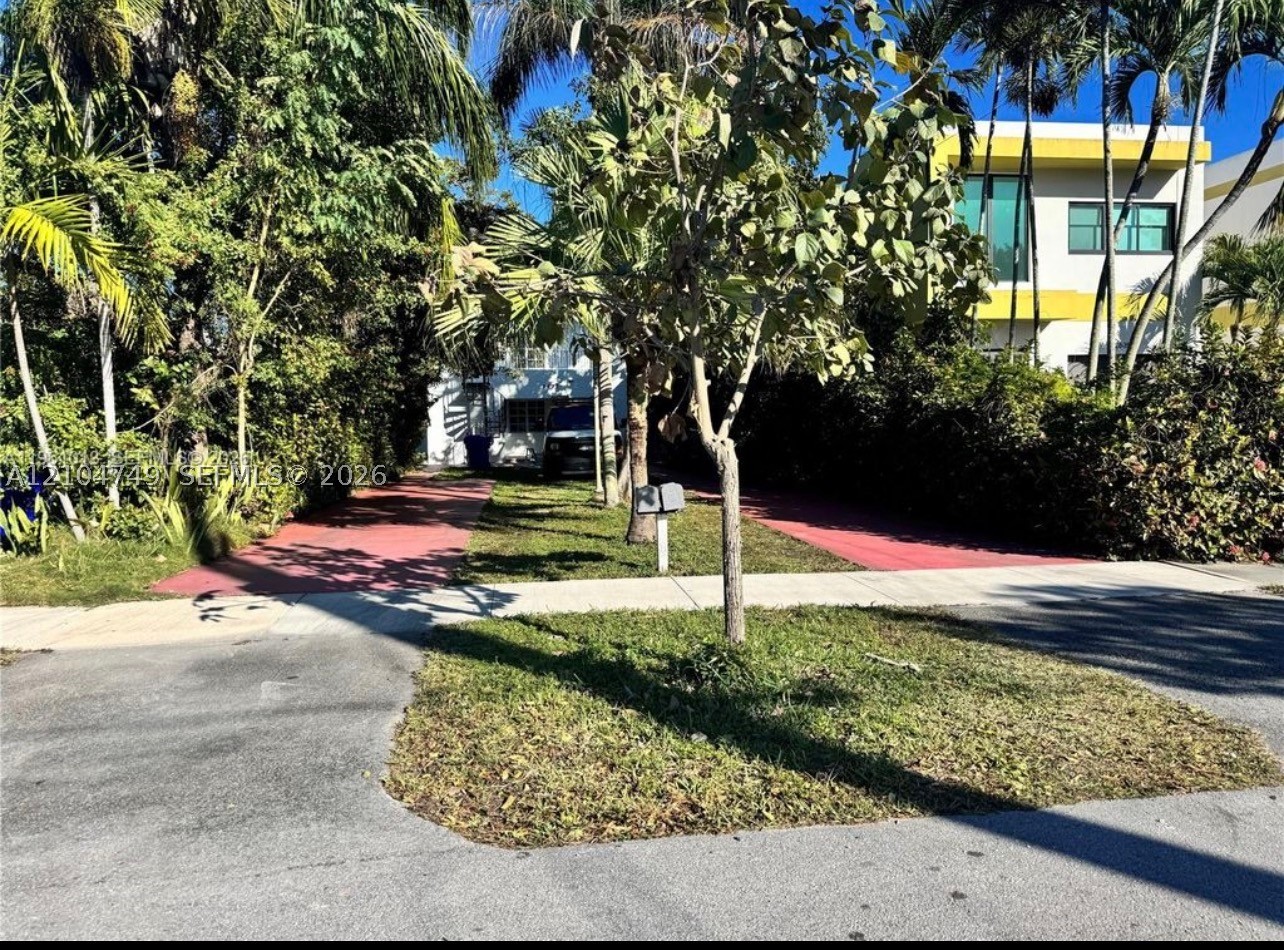 Miami photo 4