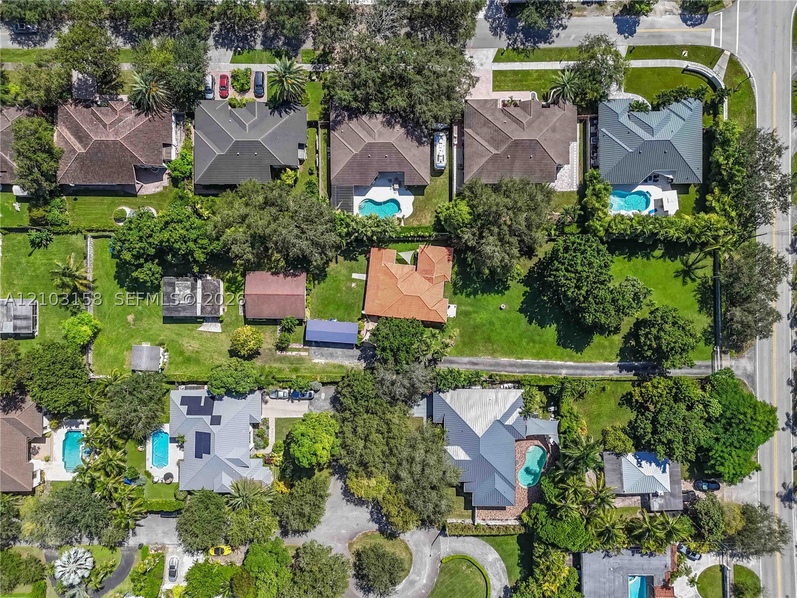 South Miami photo 4
