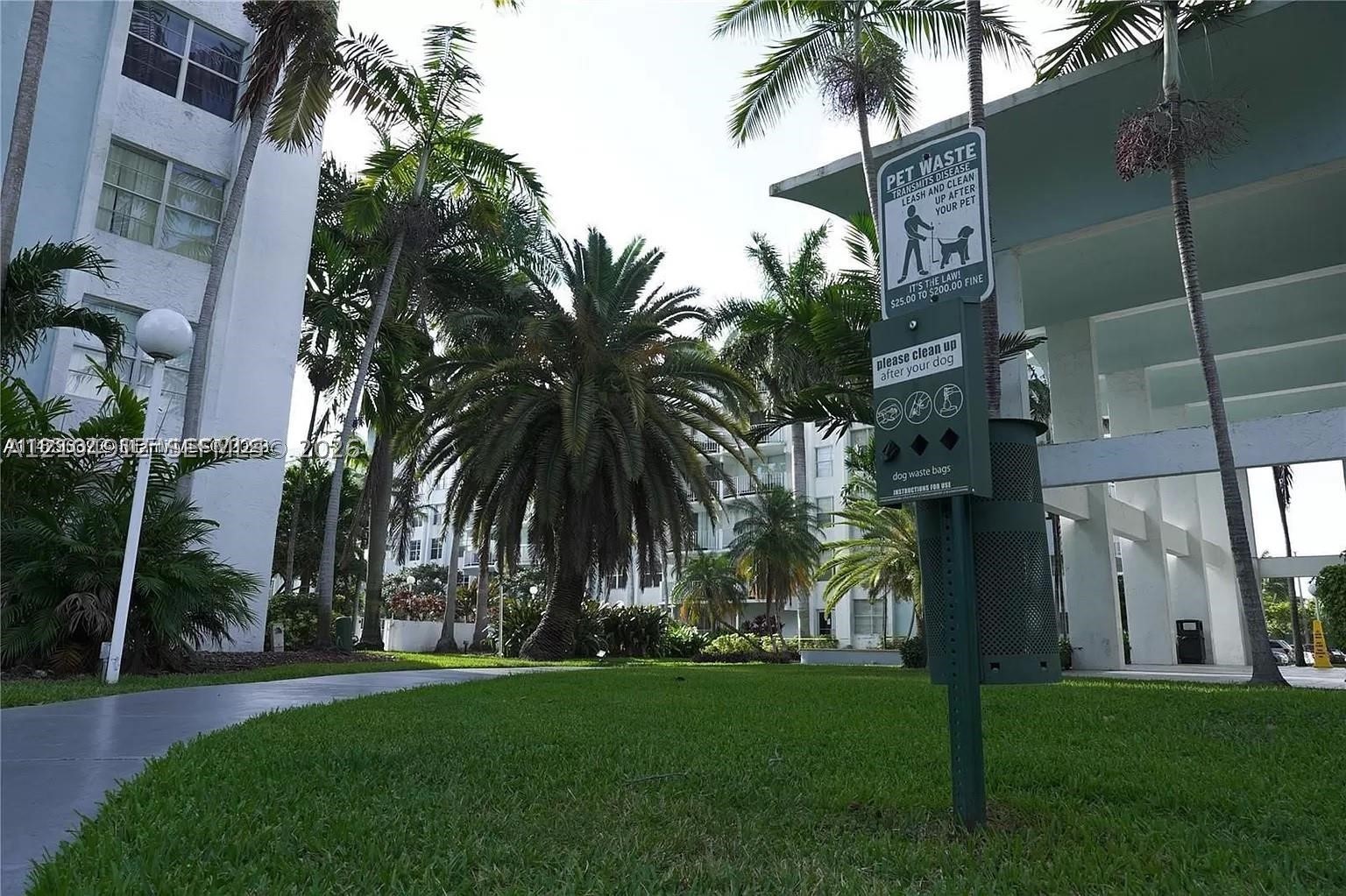 Miami photo 3