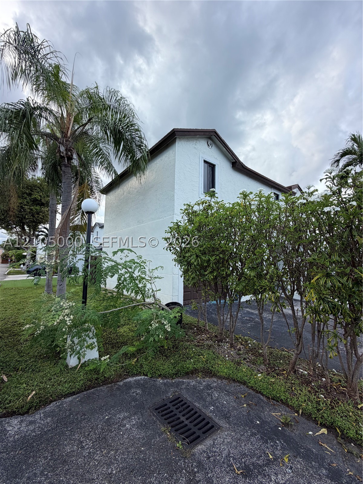 Miami photo 4