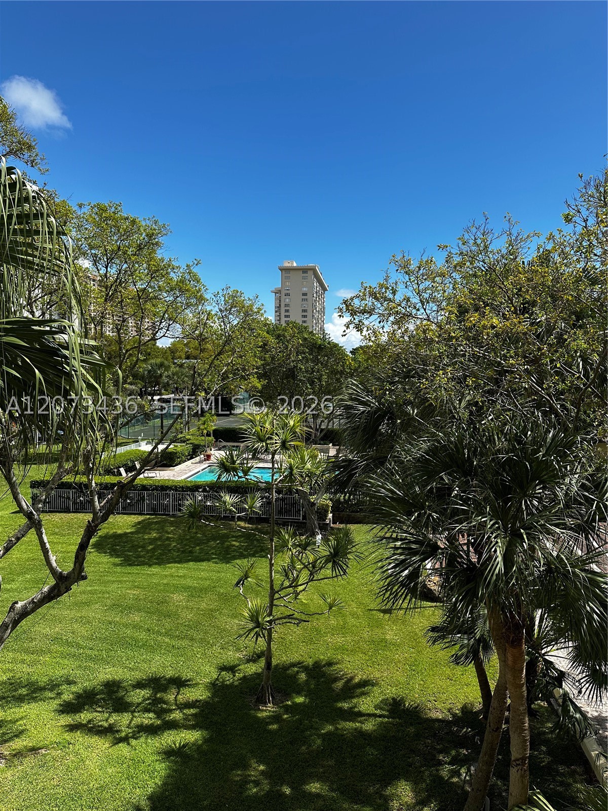 Miami photo 2