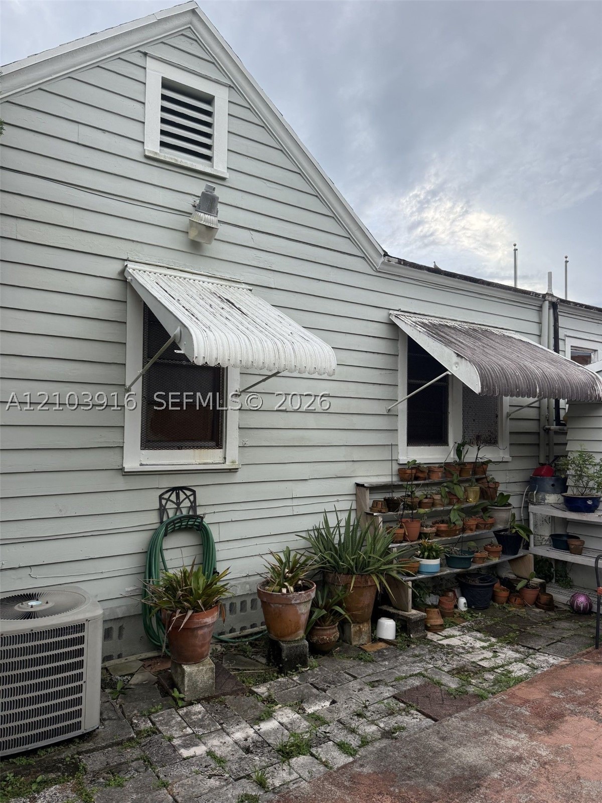 Miami photo 3