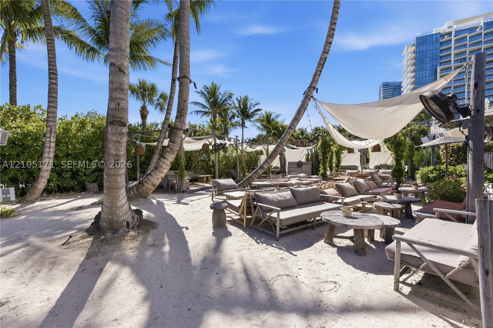 Miami Beach photo 5