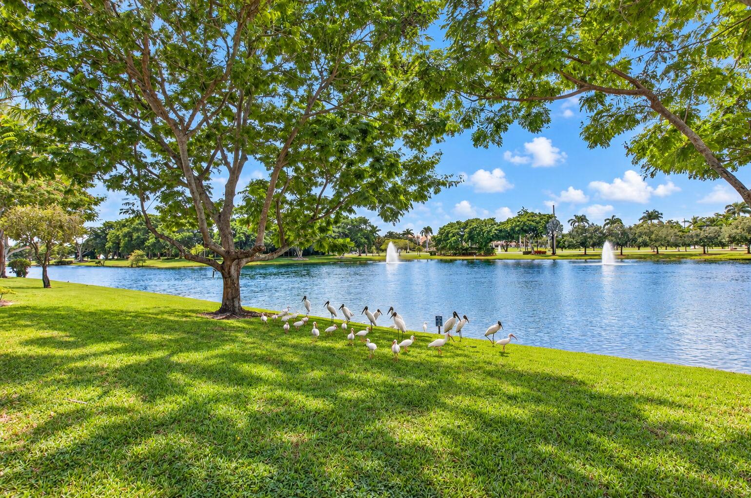 Boca Raton photo 2