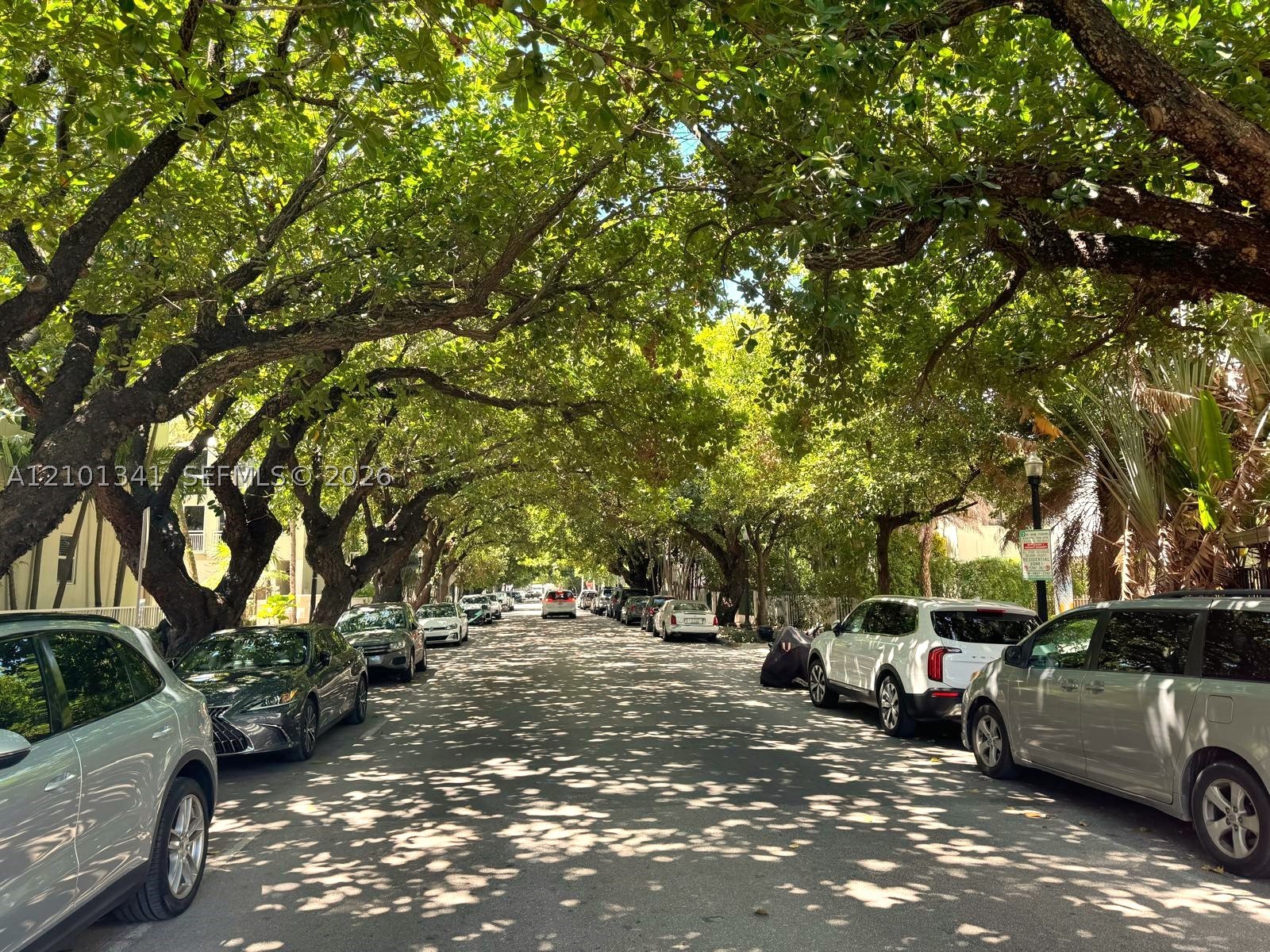Miami Beach photo 5