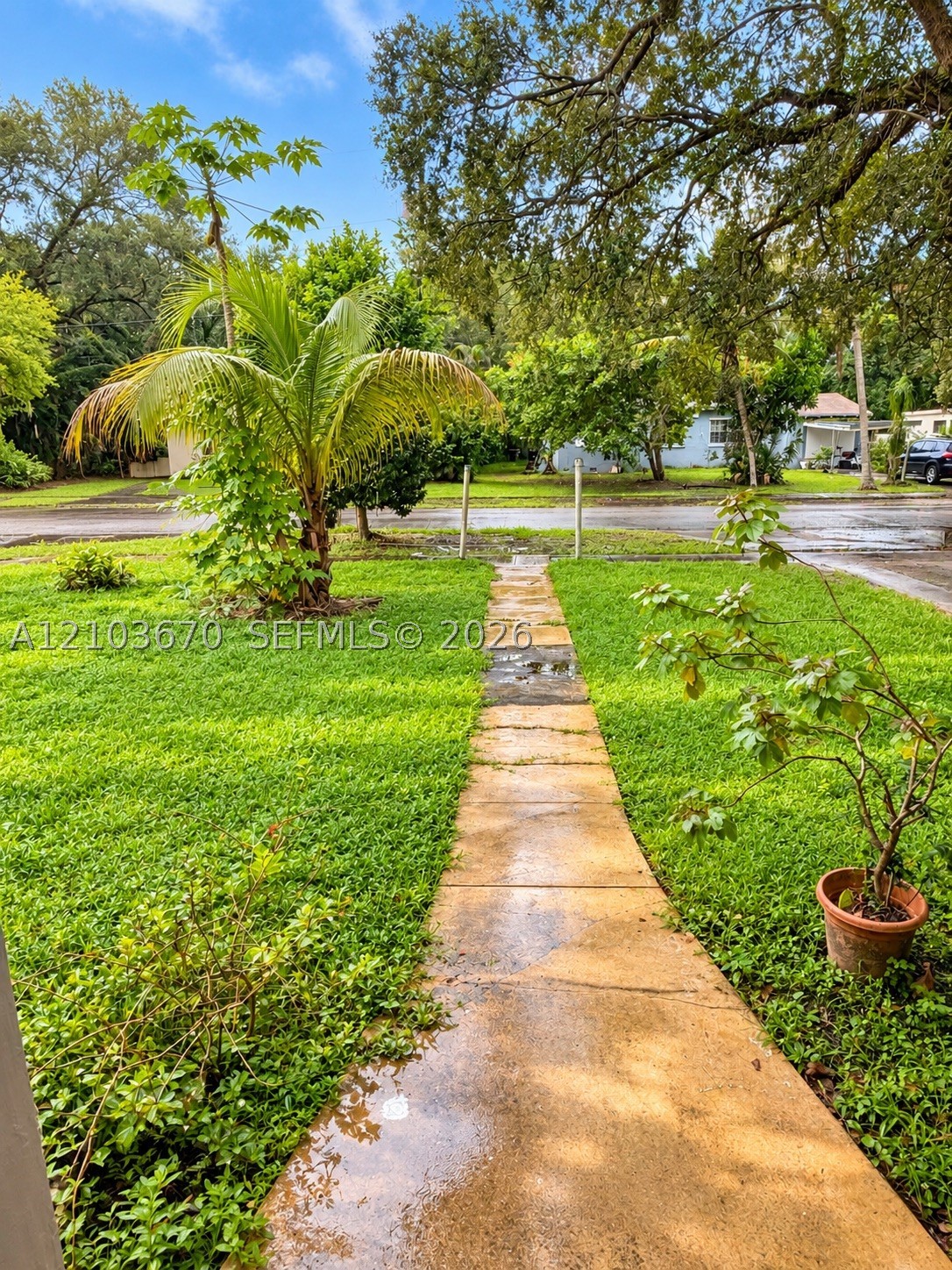 North Miami photo 4