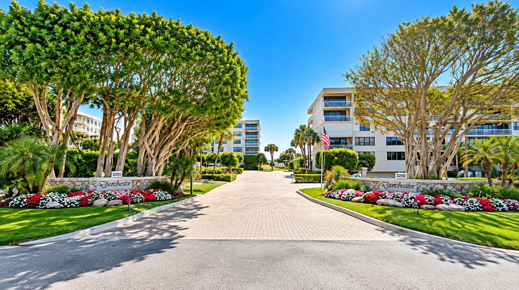 Palm Beach photo 5
