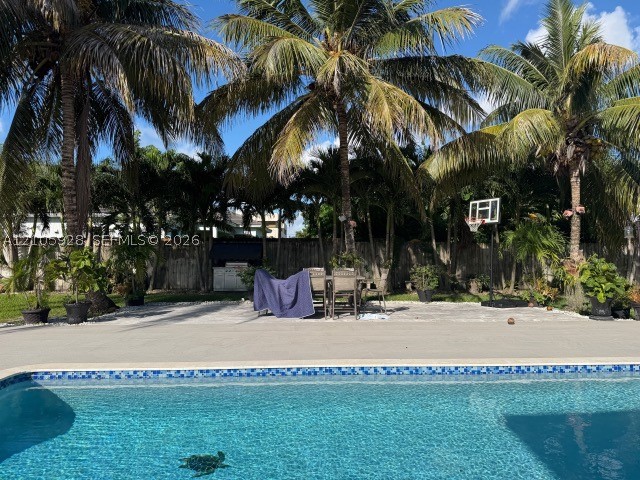 Miami photo 4