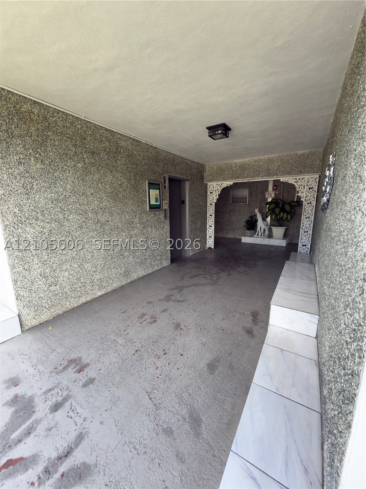 Hollywood photo 5