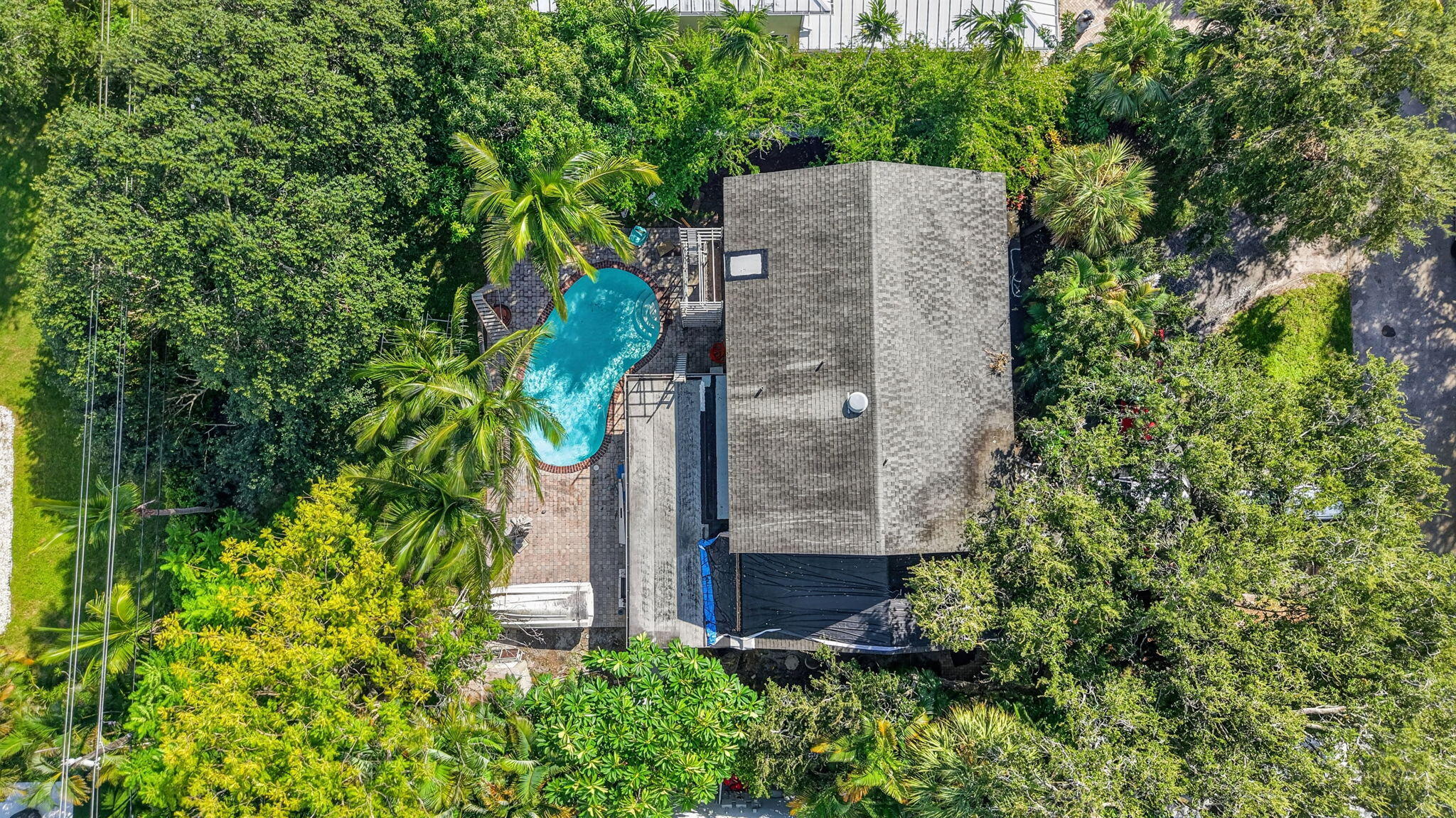 Boca Raton photo 5